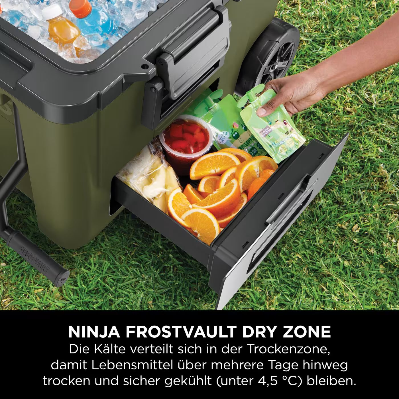 Ninja Kühlbox & Trinkflaschen Set