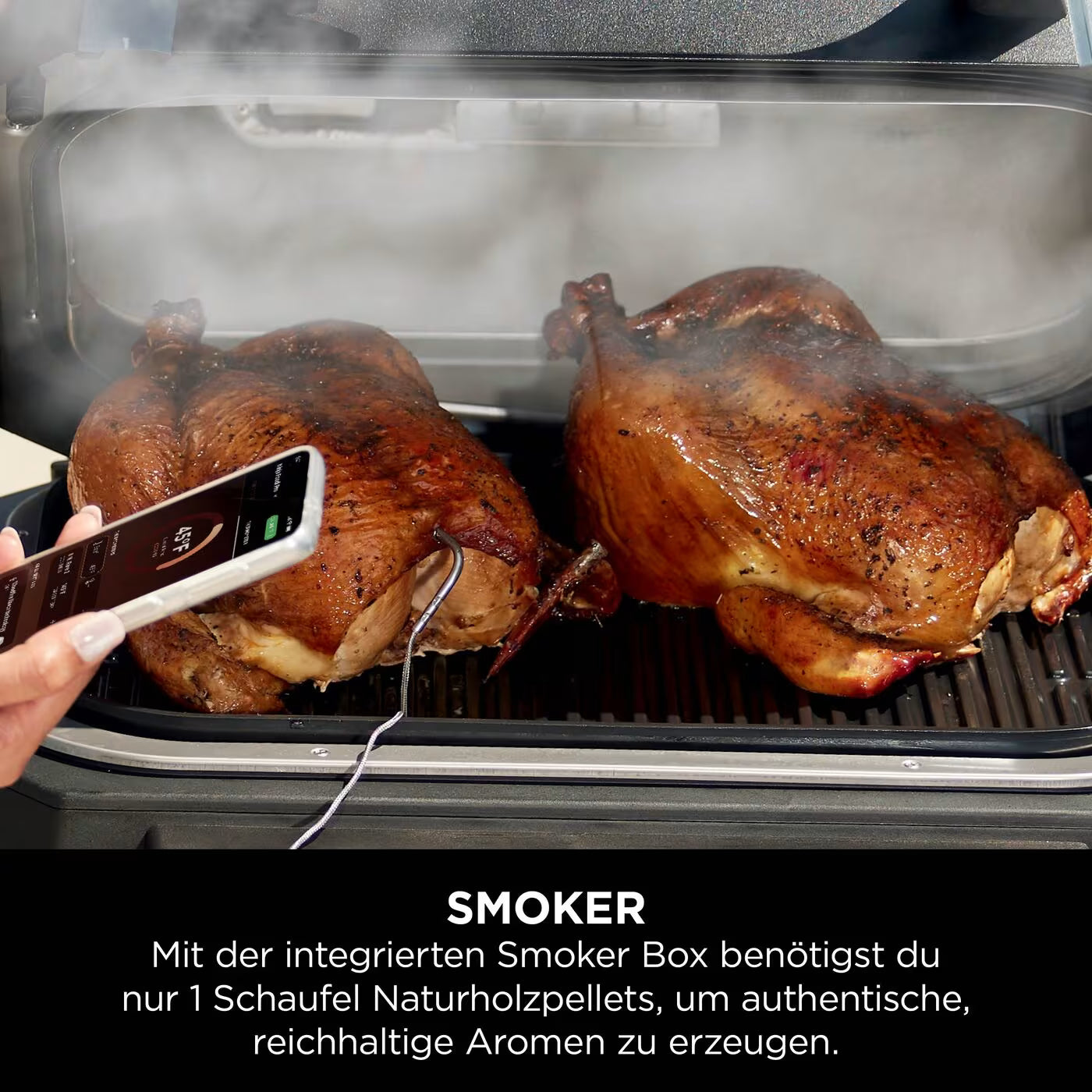 Ninja Woodfire Pro Connect XL Elektrischer Outdoor Grill & Smoker mit Abdeckung – Grün & Gold