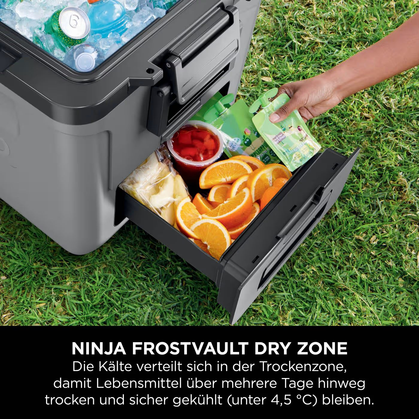 Ninja FrostVault 28L Kühlbox mit Rädern und Trockenzone