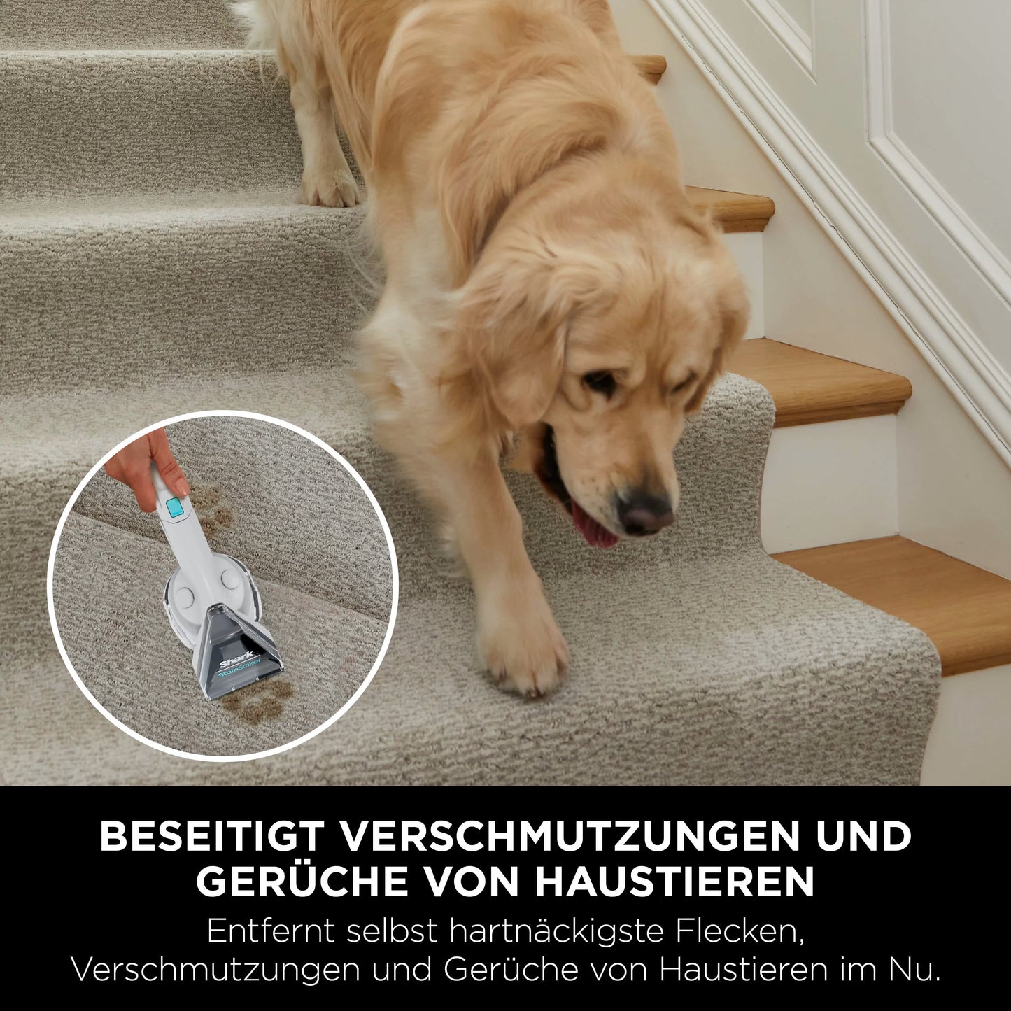 Shark StainStriker Flecken- und Polsterreiniger PX200EUT