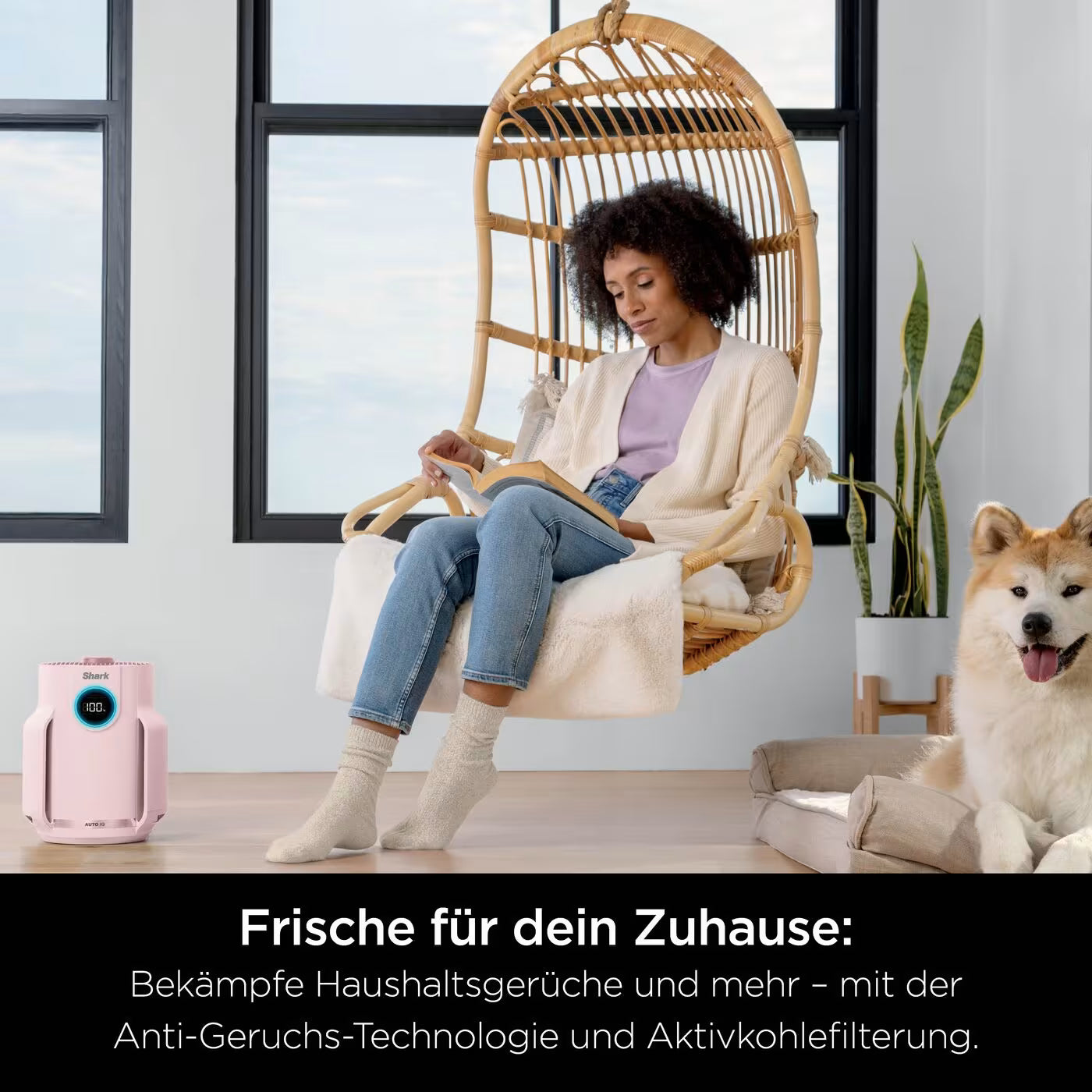 Shark NeverChange Luftreiniger Compact Pro für bis zu 5 Jahre
