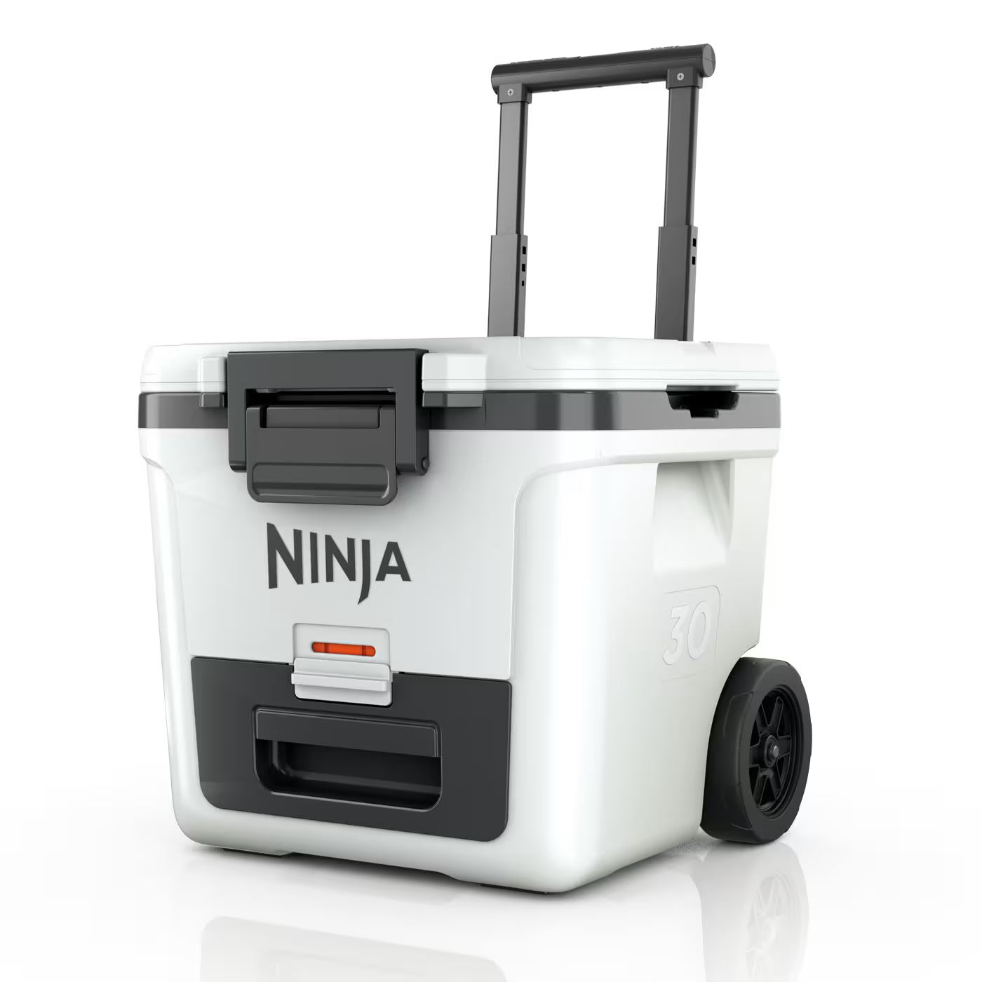 Ninja FrostVault 28L Kühlbox mit Rädern und Trockenzone