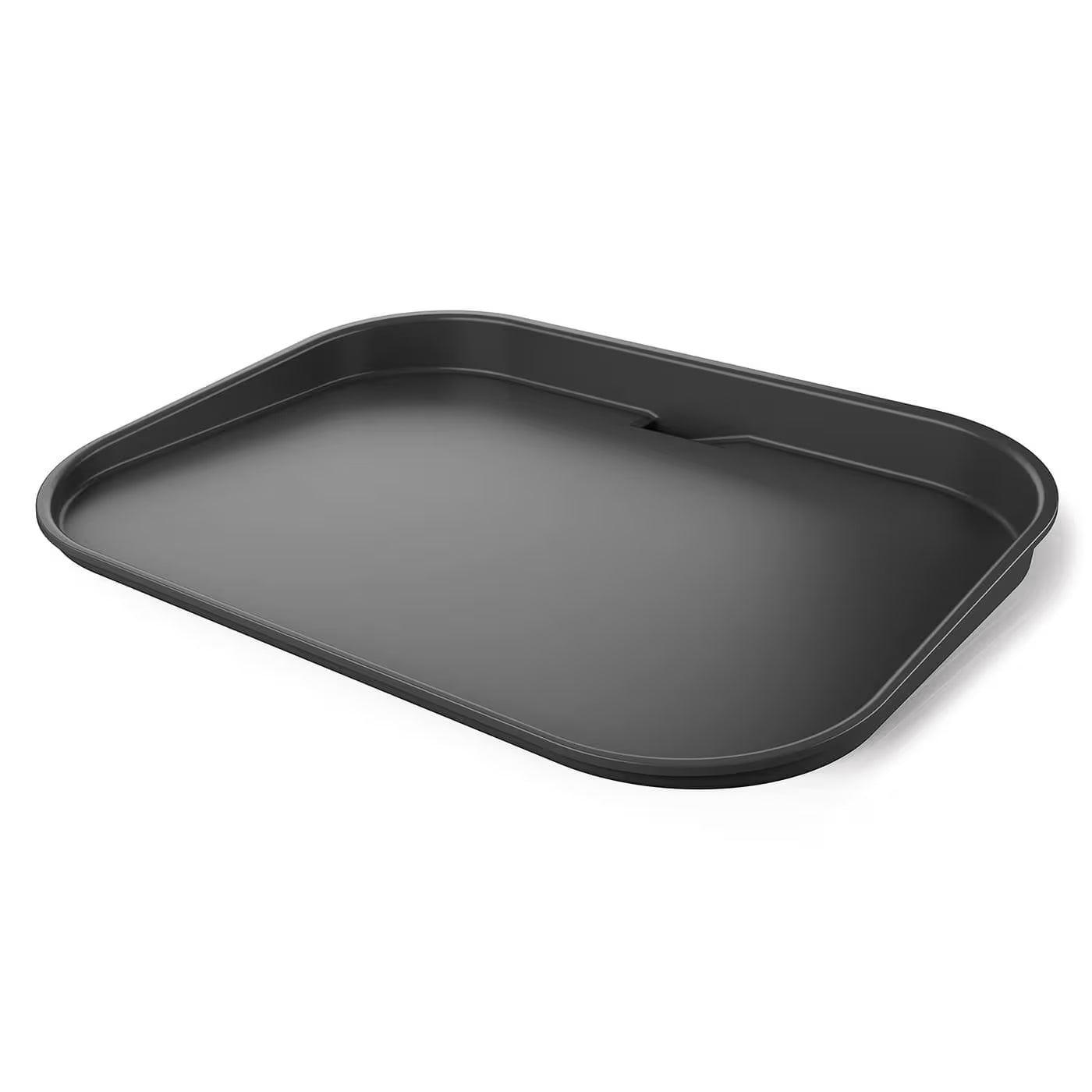 Ninja Woodfire Plancha