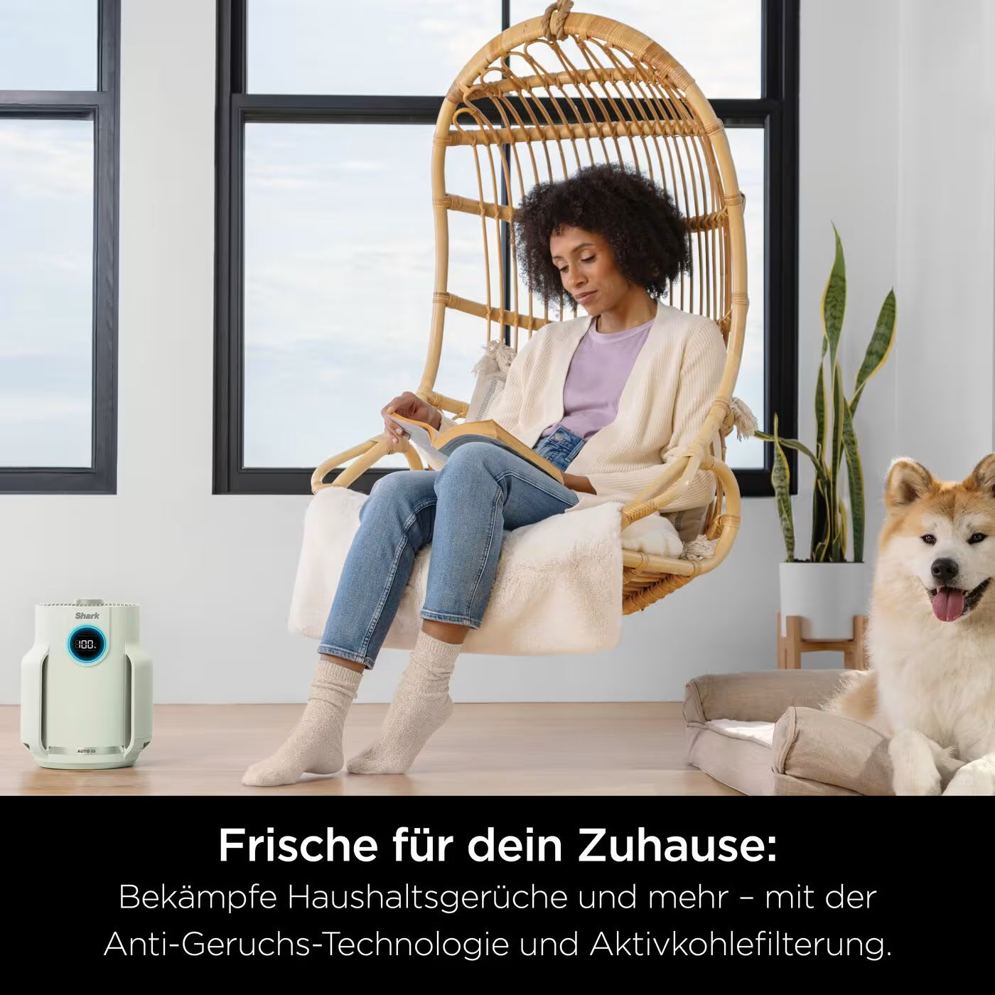 Shark NeverChange Luftreiniger Compact Pro für bis zu 5 Jahre
