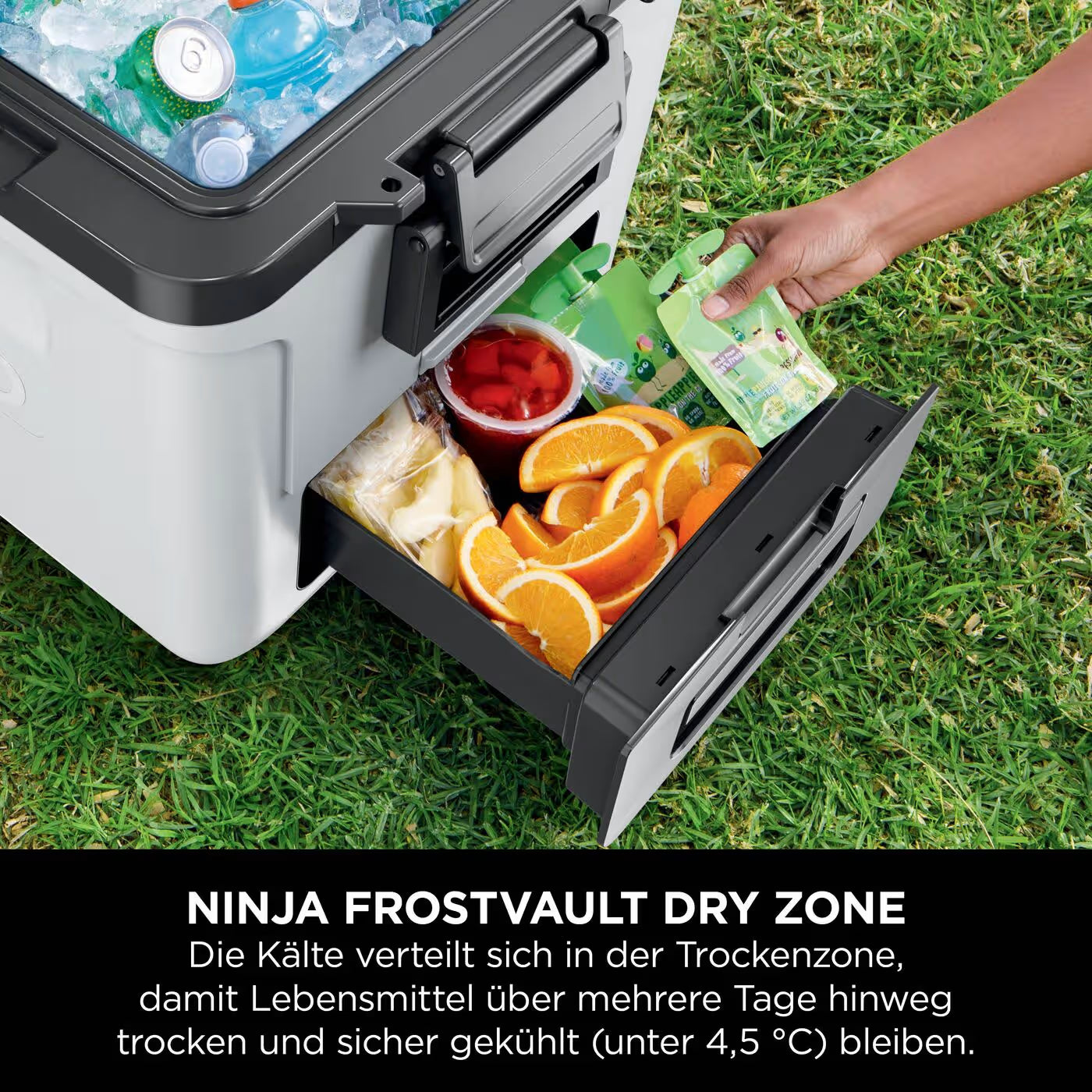 Ninja FrostVault 28L Kühlbox mit Rädern und Trockenzone