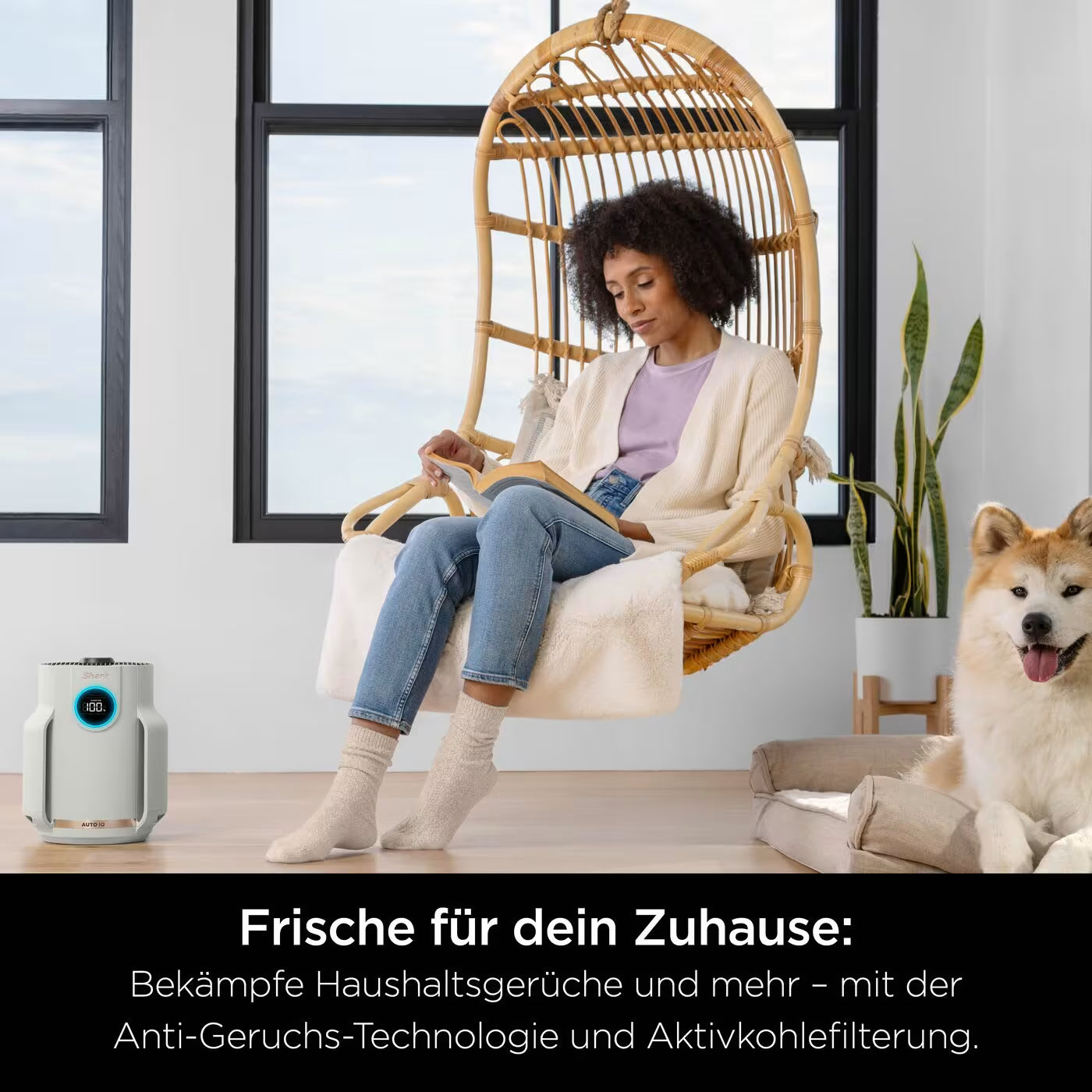 Shark NeverChange Luftreiniger Compact Pro für bis zu 5 Jahre