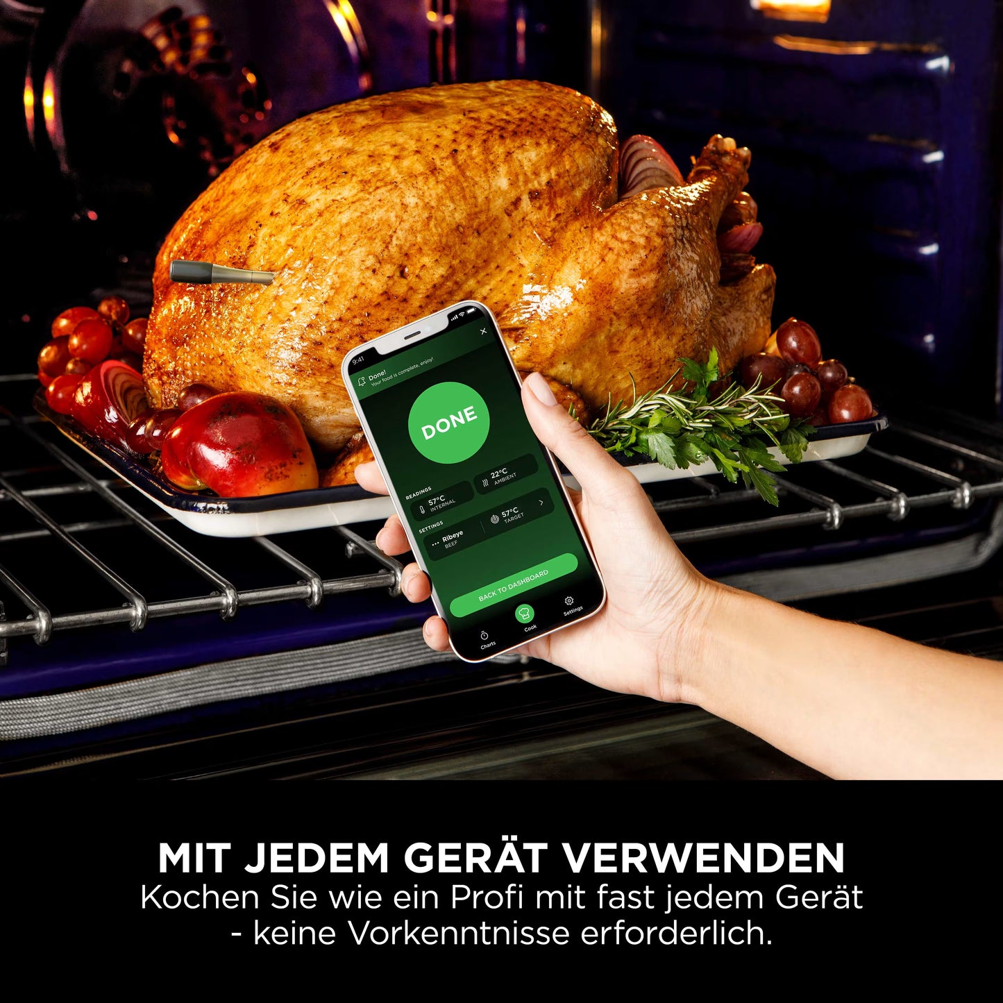 Ninja ProChef Thermometer drinnen & draußen