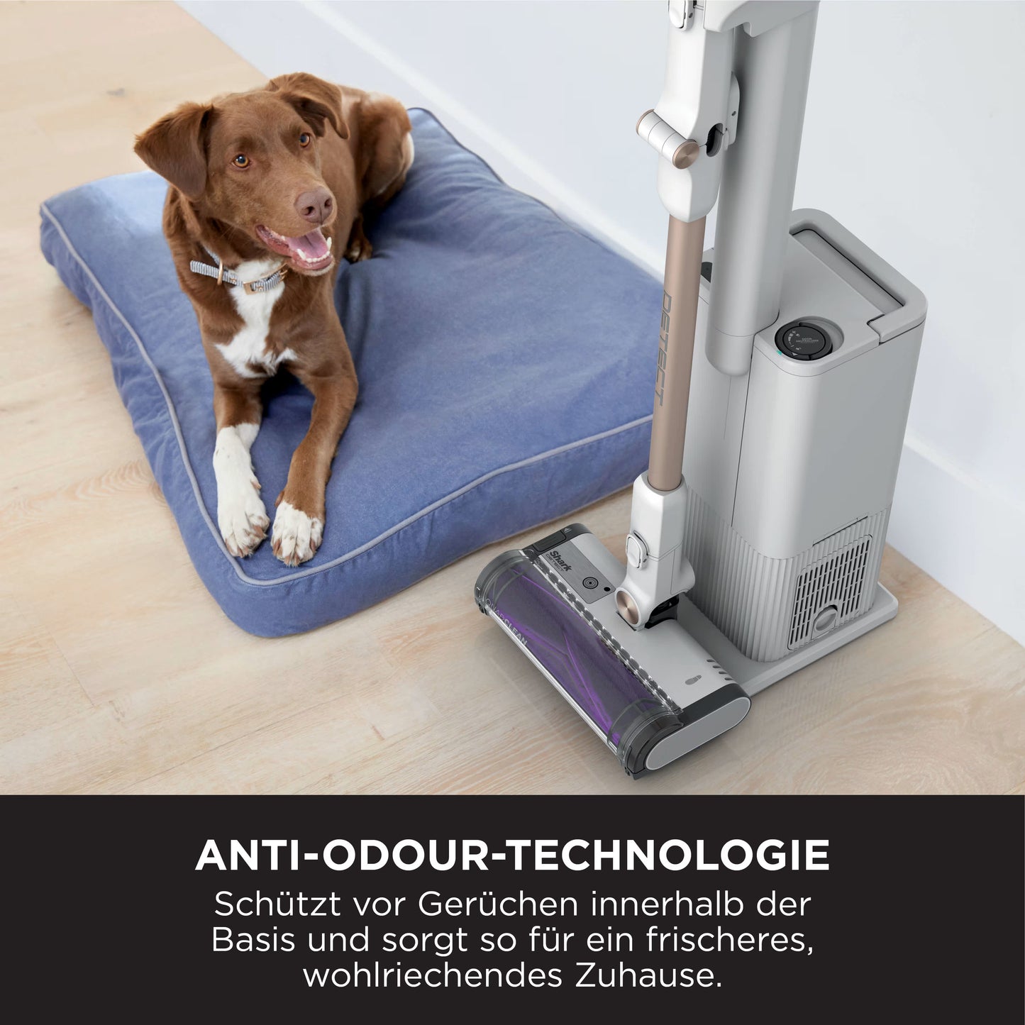 Shark Detect Clean & Empty Akku-Staubsauger mit automatischem Entleerungssystem