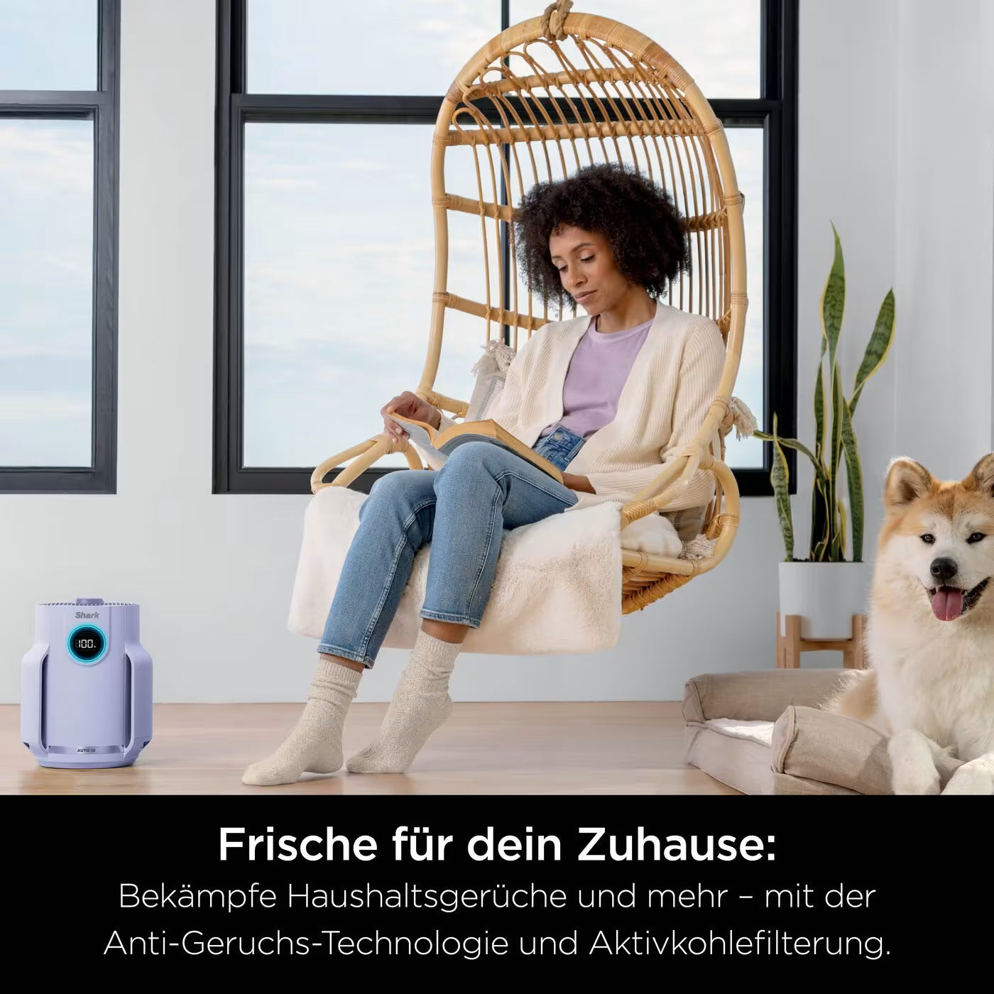 Shark NeverChange Luftreiniger Compact Pro für bis zu 5 Jahre