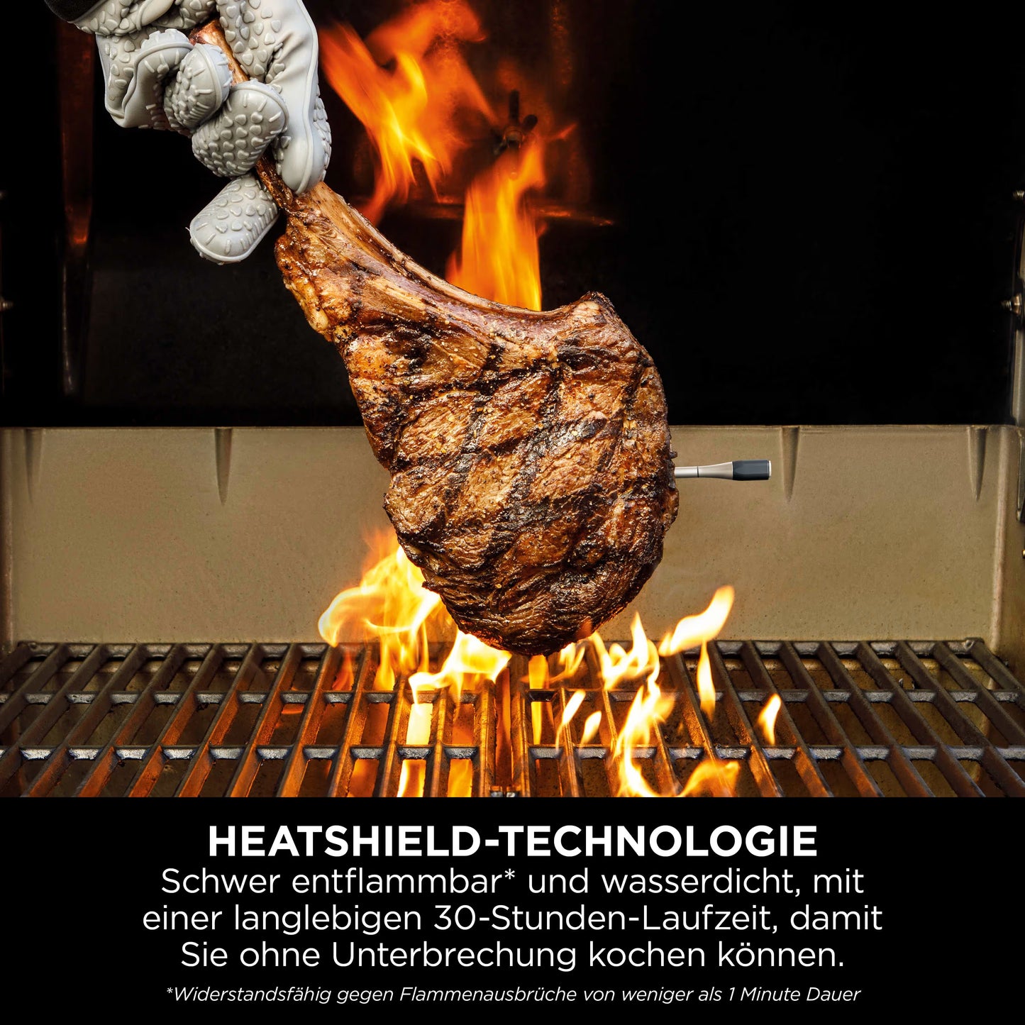 Ninja ProChef Thermometer drinnen & draußen